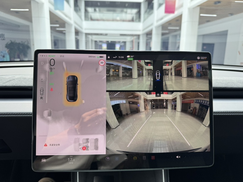 Tesla Model Y 2025 car image #18