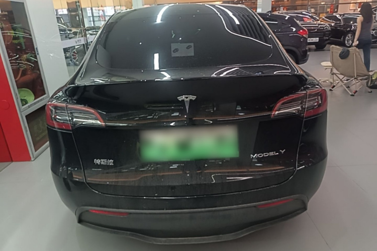 Tesla Model Y 2021 car image #6