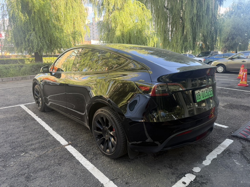 Tesla Model Y 2023 #4 Tesla Model Y 2023 car image #4