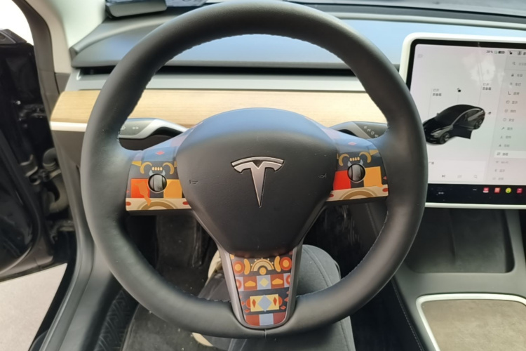 Tesla Model 3 2021 car image #11