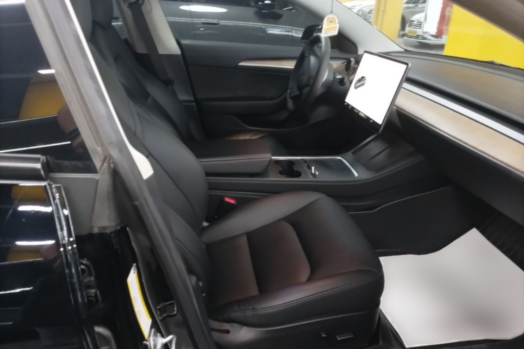 Tesla Model 3 2021 car image #29