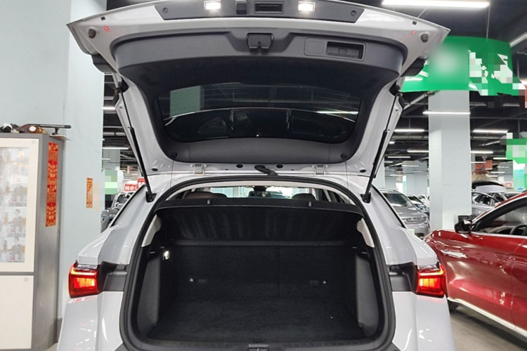 BYD Yuan Plus 2024 car image #19
