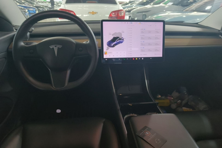 Tesla Model 3 2020 car image #10
