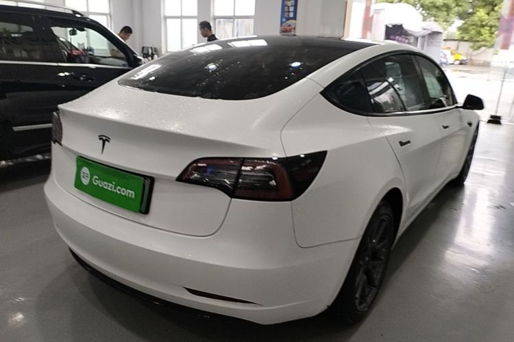 Tesla Model 3 2021 #7 Tesla Model 3 2021 car image #7
