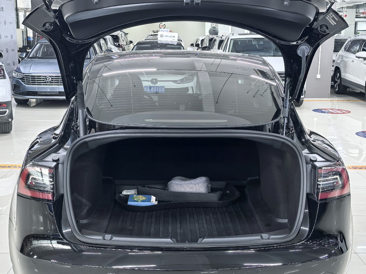 Tesla Model 3 2022 #7 Tesla Model 3 2022 car image #7
