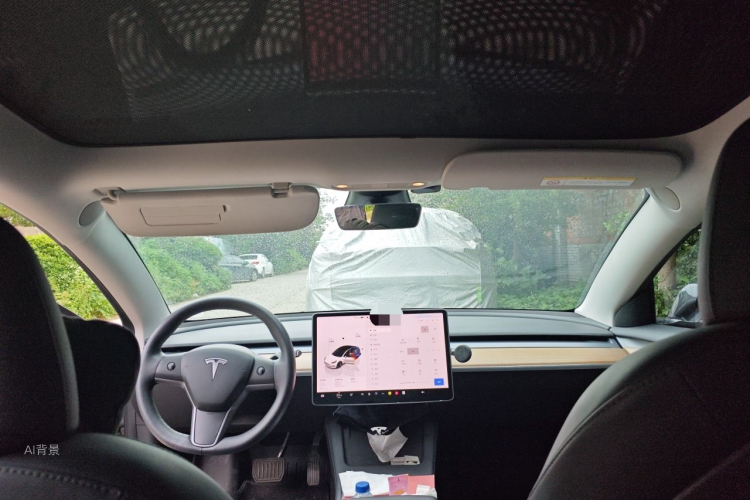 Tesla Model 3 2022 car image #20