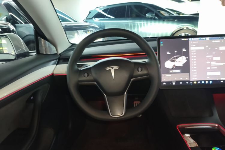 Tesla Model 3 2021 car image #15
