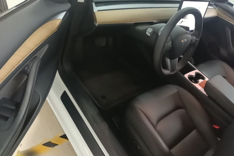 Tesla Model 3 2021 #16 Tesla Model 3 2021 car image #16