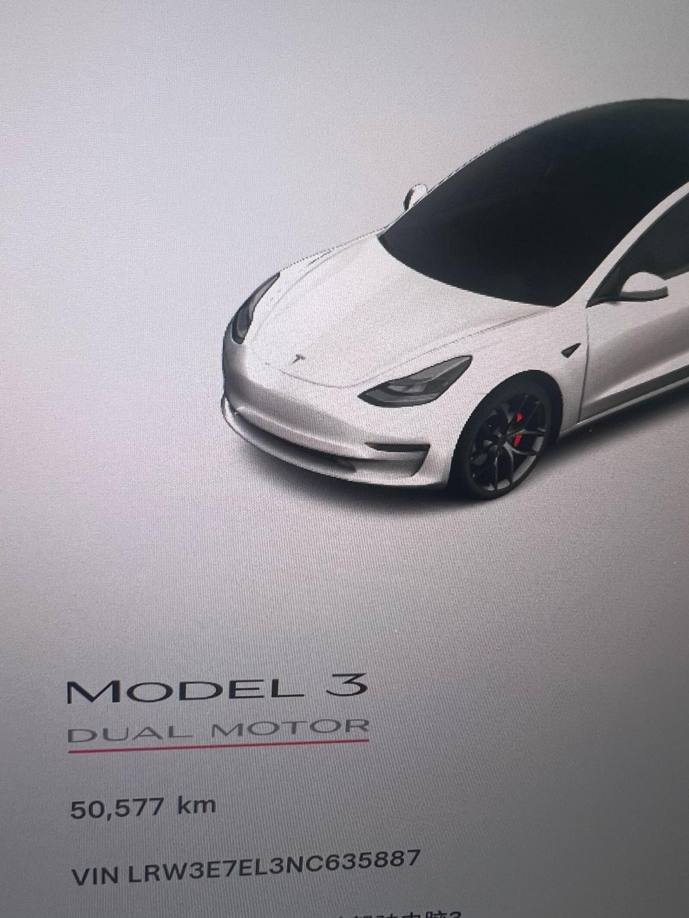 Tesla Model 3 2022 #7 Tesla Model 3 2022 car image #7