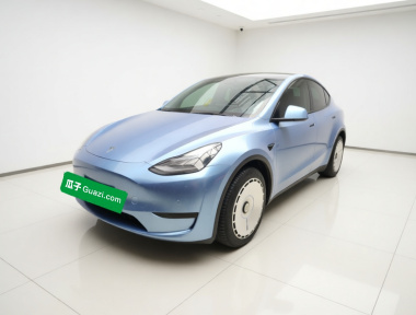 Tesla Model Y 2022 Tesla Model Y 2022 car image