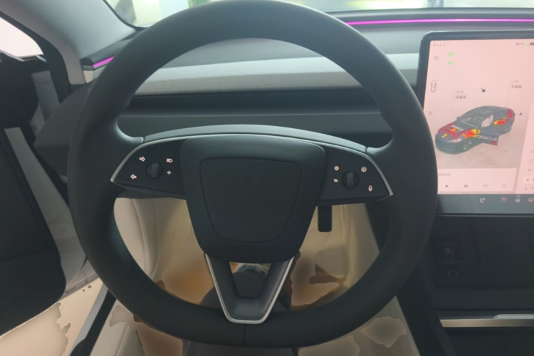 Tesla Model 3 2025 immagine di auto #11