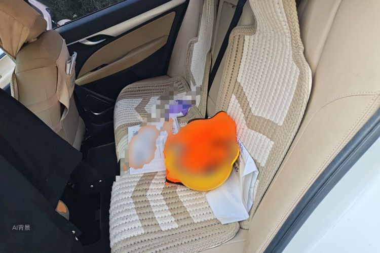 GEELY Emgrand 2018 car image #19