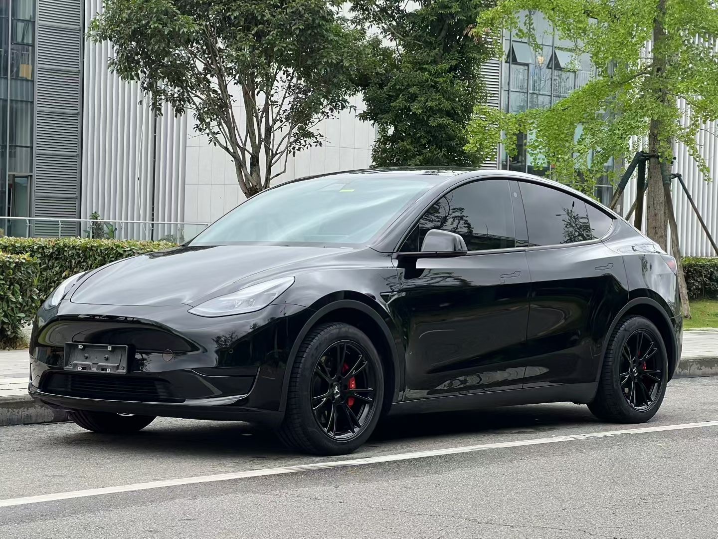 Tesla Model Y 2023 Tesla Model Y 2023 car image
