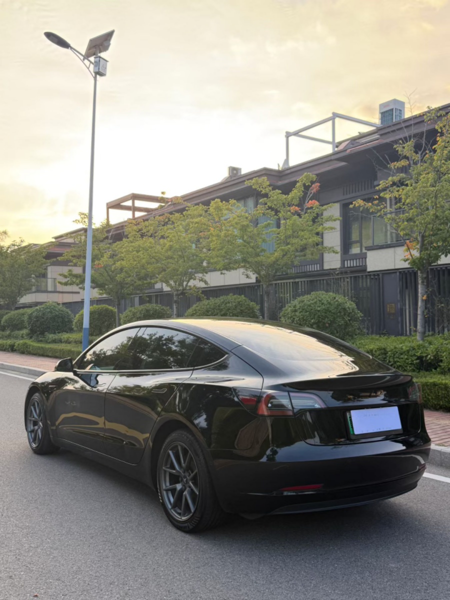 Tesla Model 3 2022 car image #7
