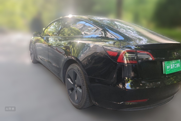 Tesla Model 3 2021 #5 Tesla Model 3 2021 car image #5