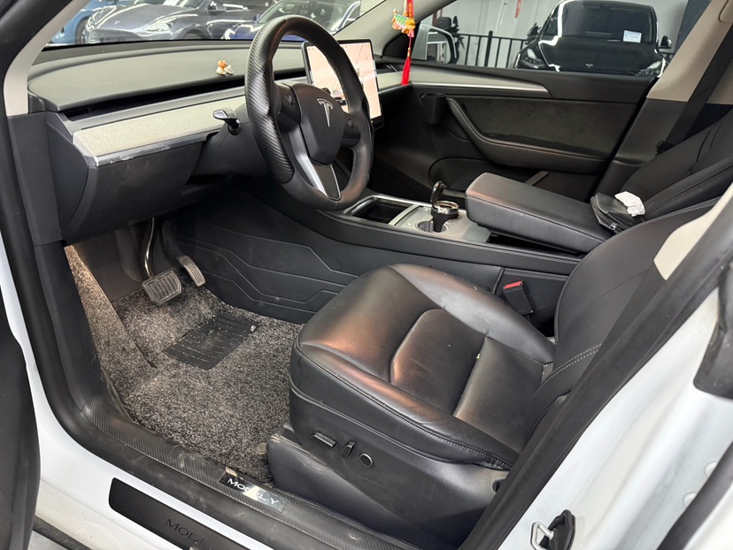 Tesla Model Y 2024 immagine di auto #2