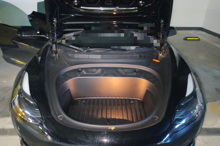 Tesla Model 3 2021 #22 Tesla Model 3 2021 car image #22