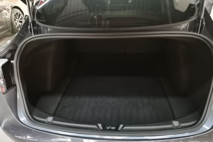 Tesla Model 3 2020 #21 Tesla Model 3 2020 car image #21