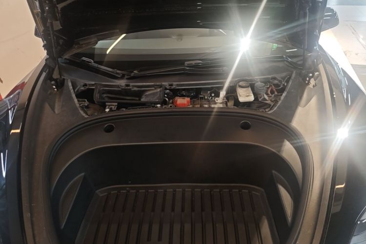 Tesla Model 3 2021 #22 Tesla Model 3 2021 car image #22