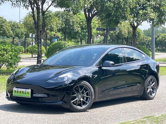 Tesla Model 3 2021 #13 Tesla Model 3 2021 car image #13