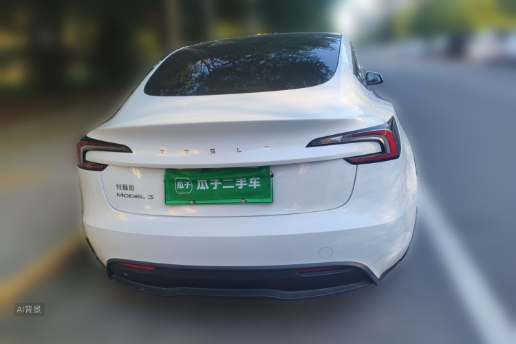 Tesla Model 3 2024 immagine di auto #6
