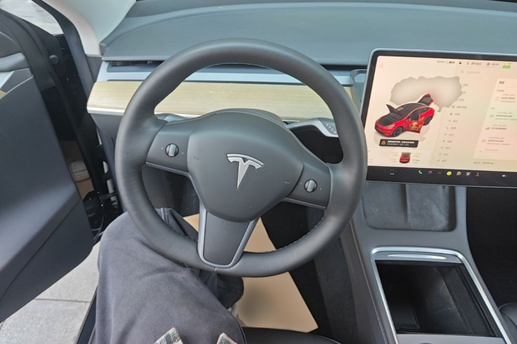 Tesla Model Y 2022 car image #11
