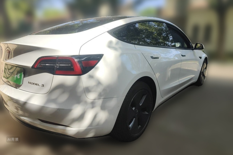 Tesla Model 3 2021 #7 Tesla Model 3 2021 car image #7