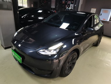 Tesla Model Y 2024 Tesla Model Y 2024 car image