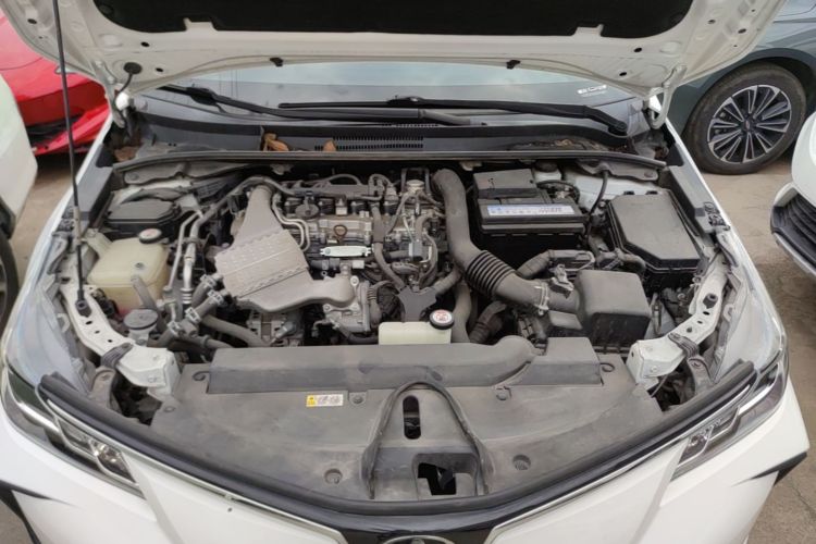 Toyota Corolla 2019 #20 Toyota Corolla 2019 car image #20
