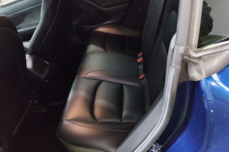 Tesla Model 3 2020 car image #17