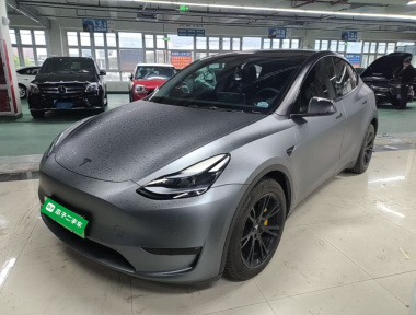 Tesla Model Y 2022 Tesla Model Y 2022 car image