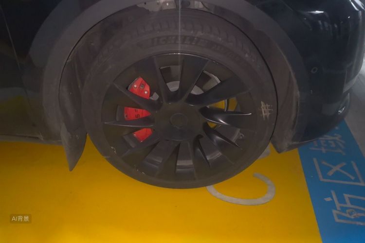 Tesla Model Y 2021 car image #9