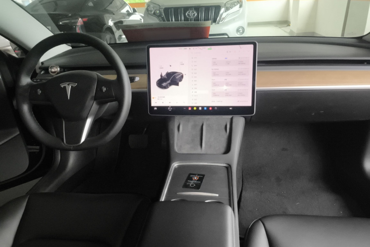 Tesla Model 3 2021 #10 Tesla Model 3 2021 car image #10