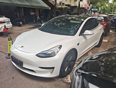 Tesla Model 3 2022 immagine di auto 