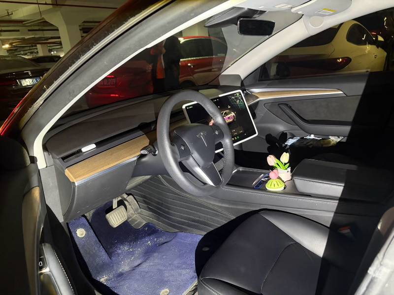 Tesla Model 3 2022 #3 Tesla Model 3 2022 car image #3