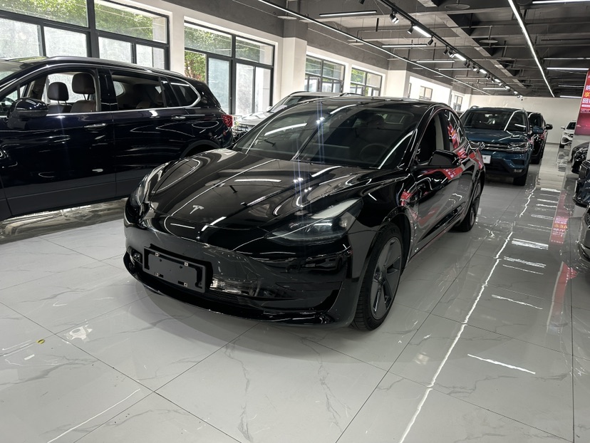 Tesla Model 3 2021 car image 