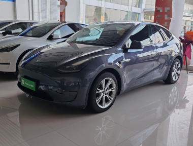 Tesla Model Y 2021 Tesla Model Y 2021 immagine di auto
