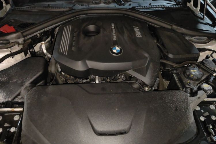 BMW 3 Series 2017 immagine di auto #22