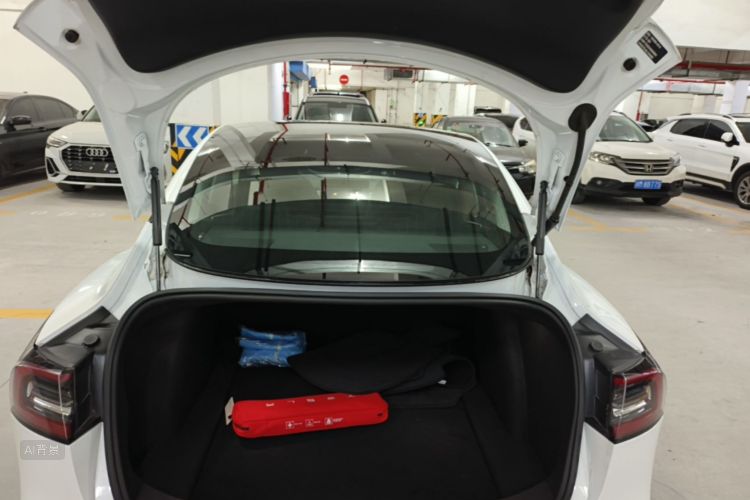 Tesla Model 3 2020 car image #22