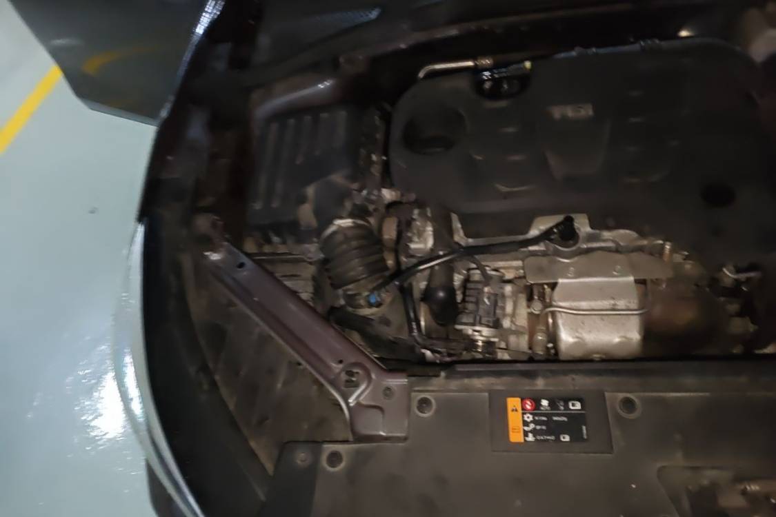 MG 5 2020 #11 MG 5 2020 immagine di auto #11