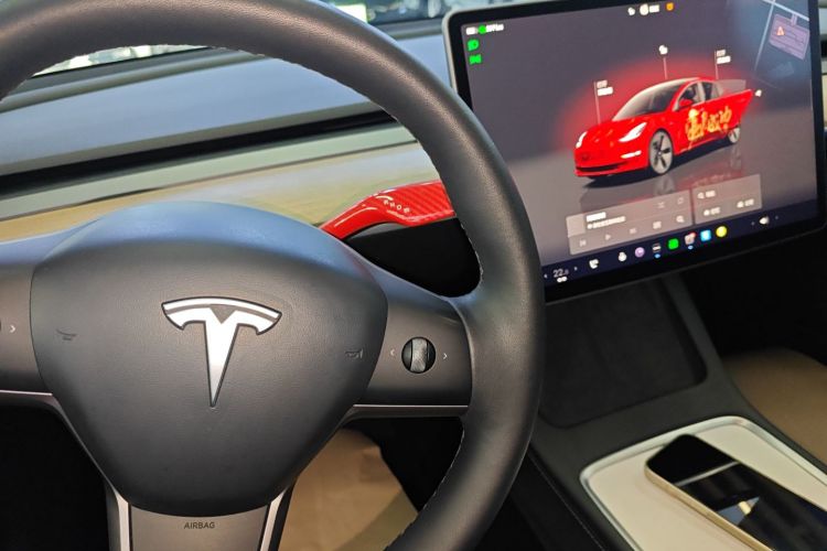 Tesla Model 3 2023 car image #18