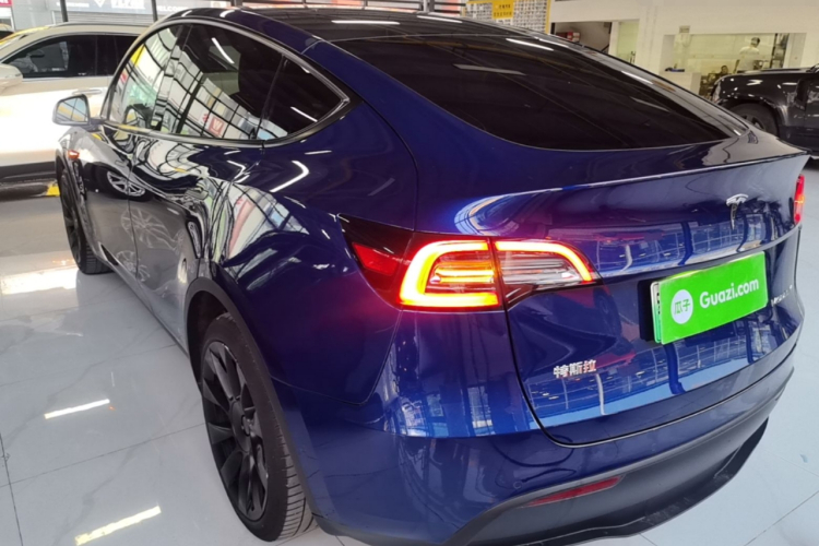 Tesla Model Y 2021 car image #7
