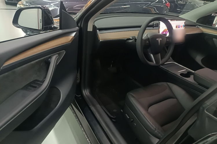 Tesla Model Y 2021 car image #16