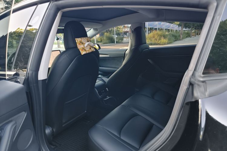 Tesla Model 3 2021 car image #15