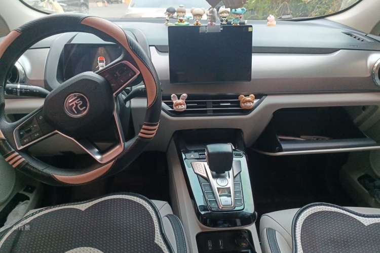 BYD Yuan Pro 2022 car image #11