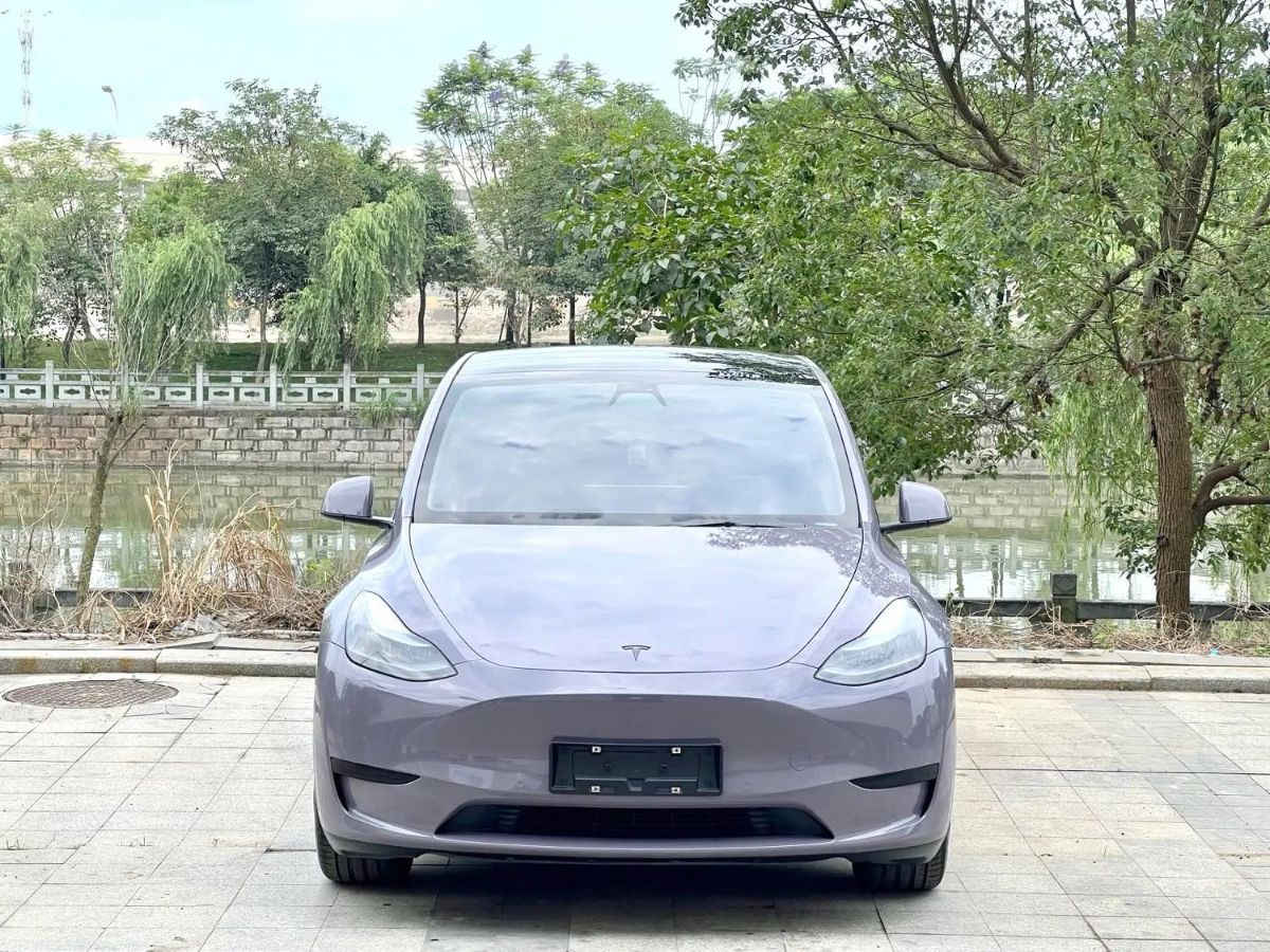 Tesla Model Y 2022 car image #2