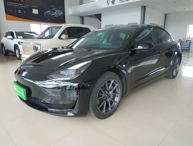 Tesla Model 3 2022 Tesla Model 3 2022 car image
