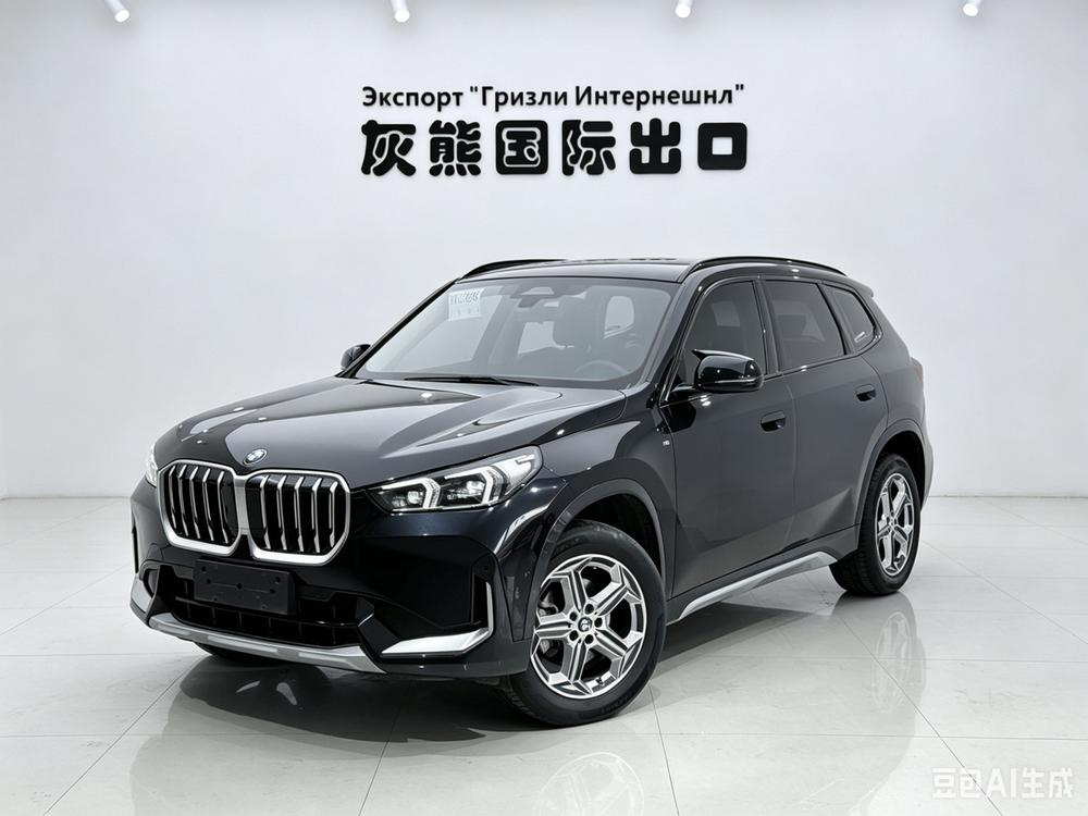BMW X1 2023 car image 