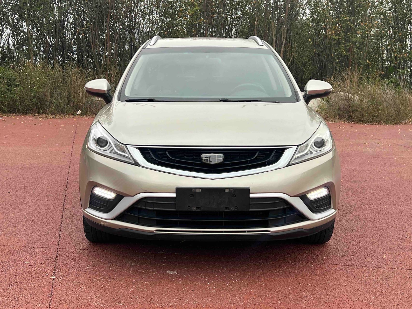 GEELY Emgrand GS 2017 imagen de coche #2