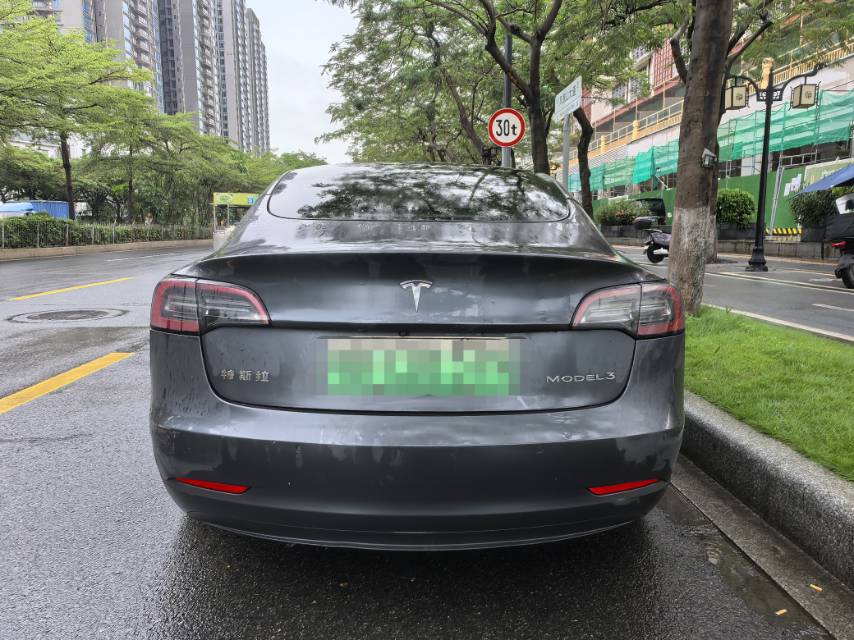 Tesla Model 3 2021 car image #8
